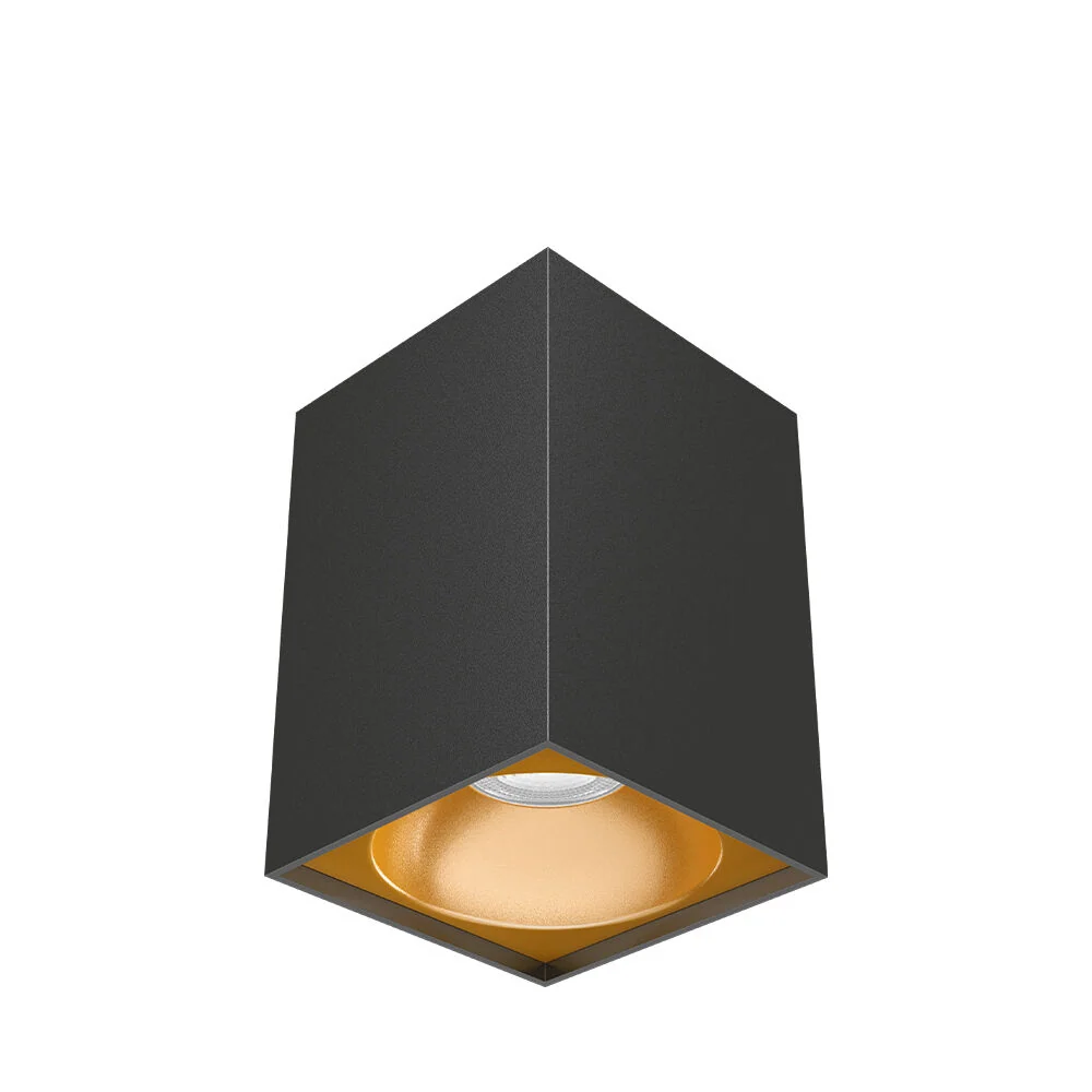 Braytron Spot lámpa Fekete-Gold 1*GU10 spotlámpa IP20 1*35W 220-240V 50/60Hz BH04-00111