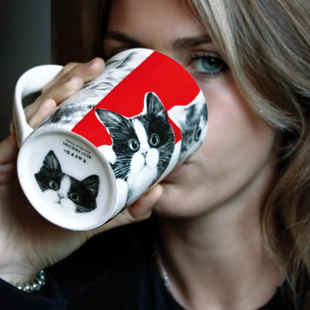 Taitù bögre Cats Best Friends kollekció finom porcelán porcelán 14-1-4 CATS