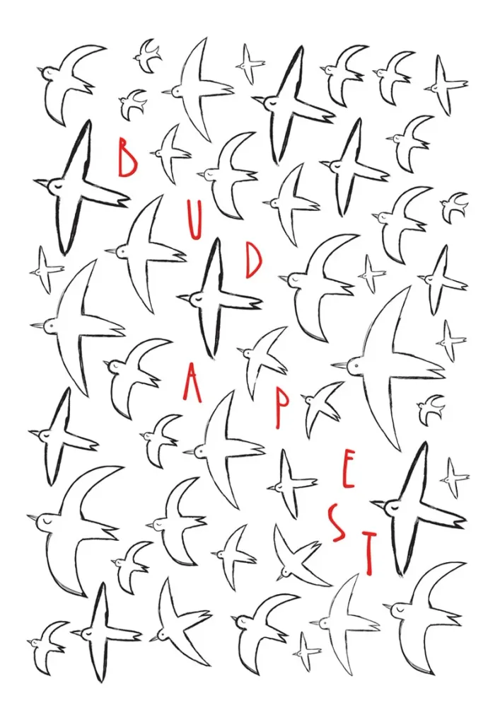 Budapest madarak nyomat