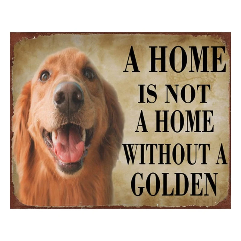 Fém falikép kutyás Golden Retriever