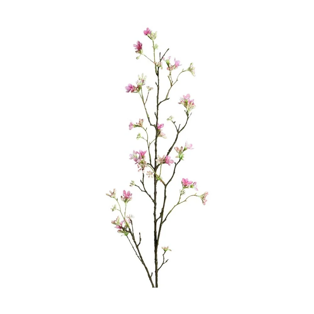 HEPTACODIUM rózsaszín mű hétfiúvirágcserje 100 cm