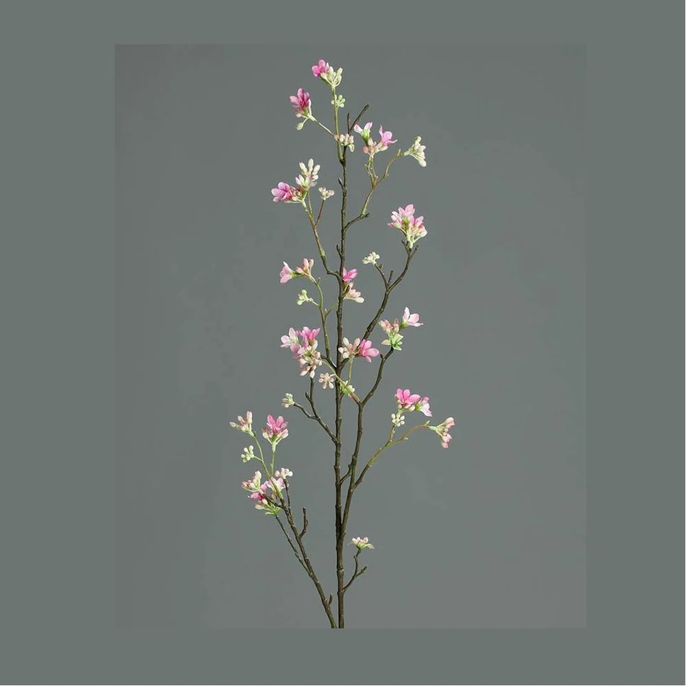 HEPTACODIUM rózsaszín mű hétfiúvirágcserje 100 cm