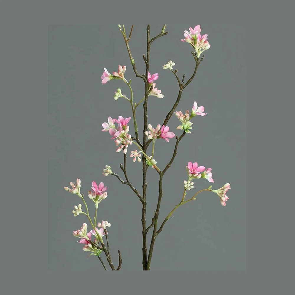 HEPTACODIUM rózsaszín mű hétfiúvirágcserje 100 cm