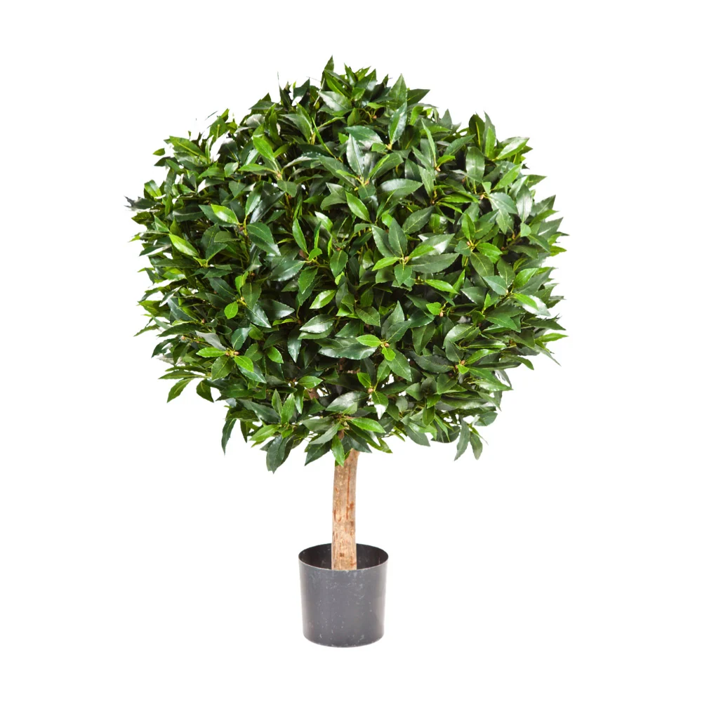 LAUREL babérfa műnövény 75 cm