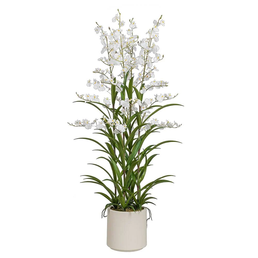 ONCIDIUM fehér mű táncoló hölgy orchidea 129 cm