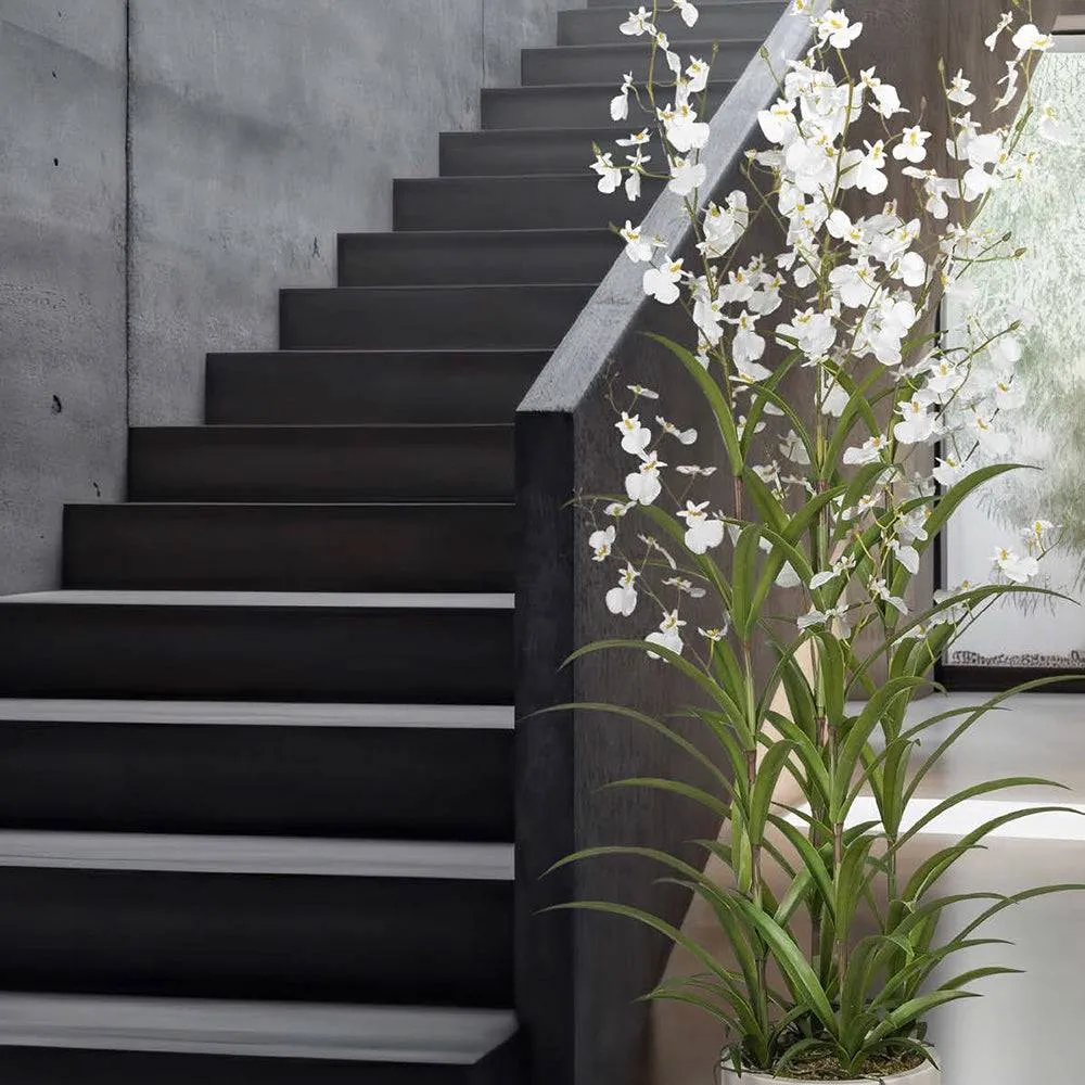 ONCIDIUM fehér mű táncoló hölgy orchidea 129 cm