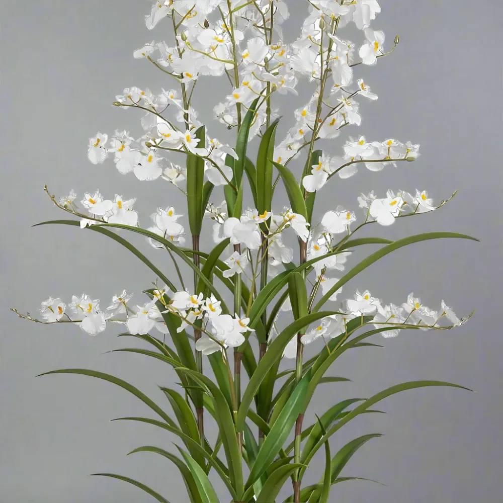 ONCIDIUM fehér mű táncoló hölgy orchidea 129 cm