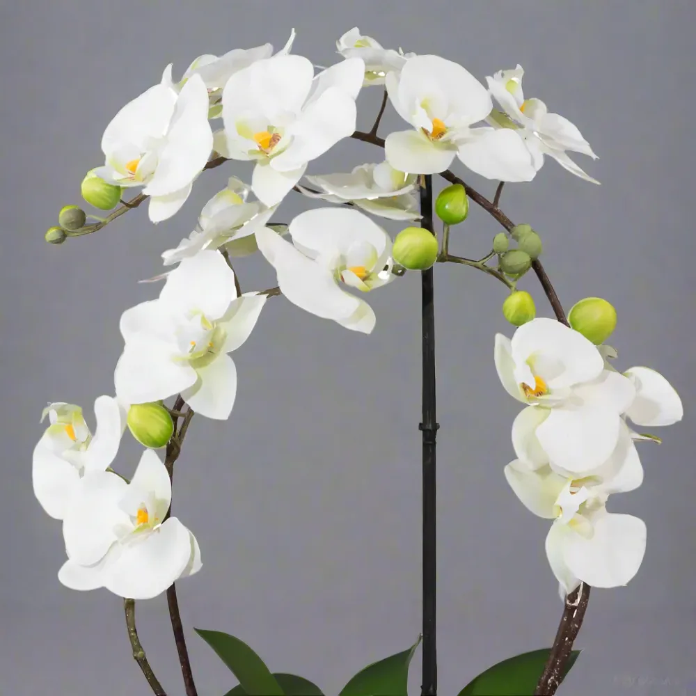 ORCHID fehér cserepes mű orchidea 52 cm