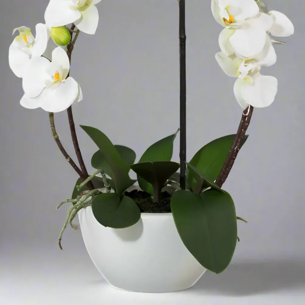 ORCHID fehér cserepes mű orchidea 52 cm
