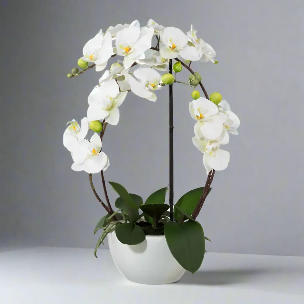 ORCHID fehér cserepes mű orchidea 52 cm