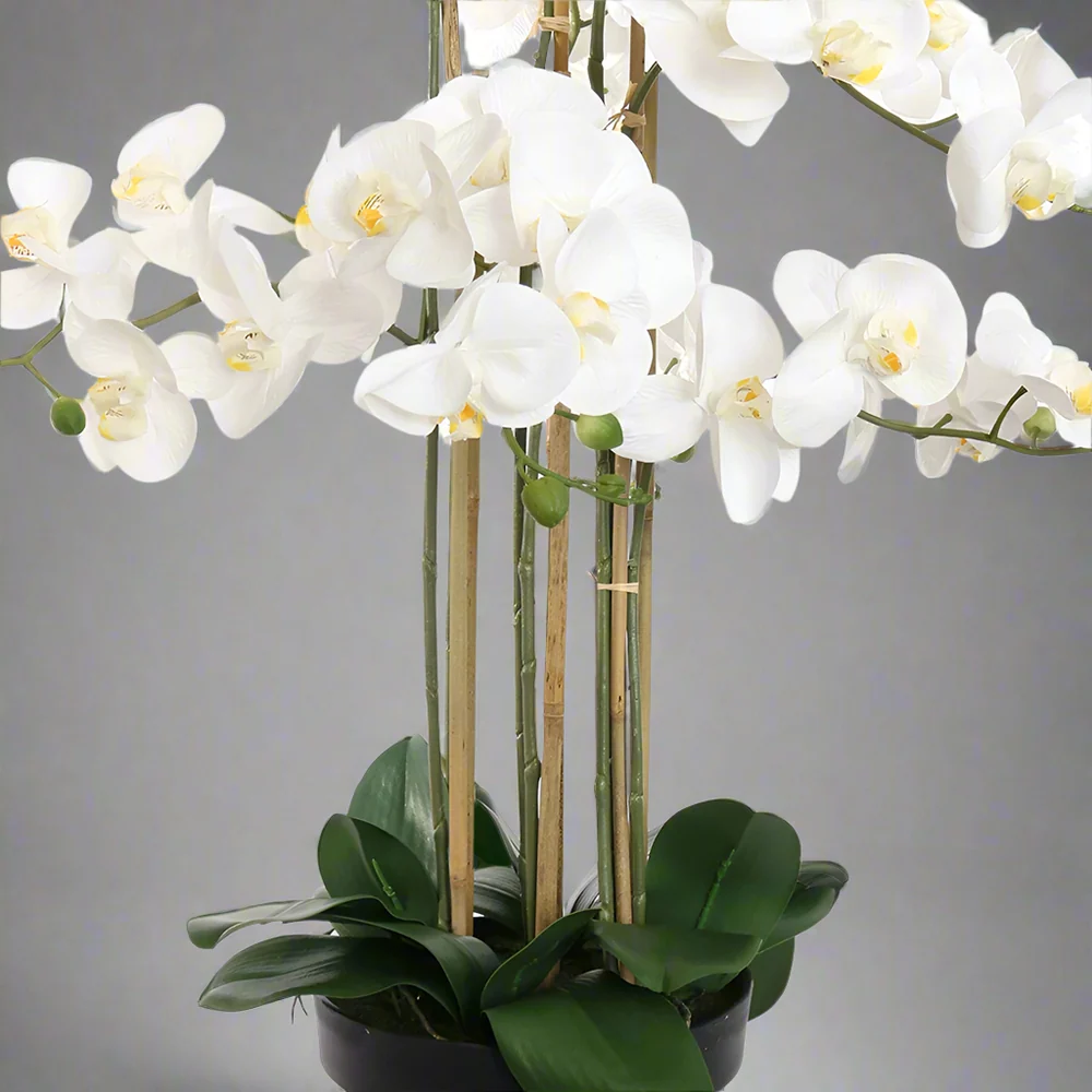ORCHID fehér cserepes mű orchidea 90 cm