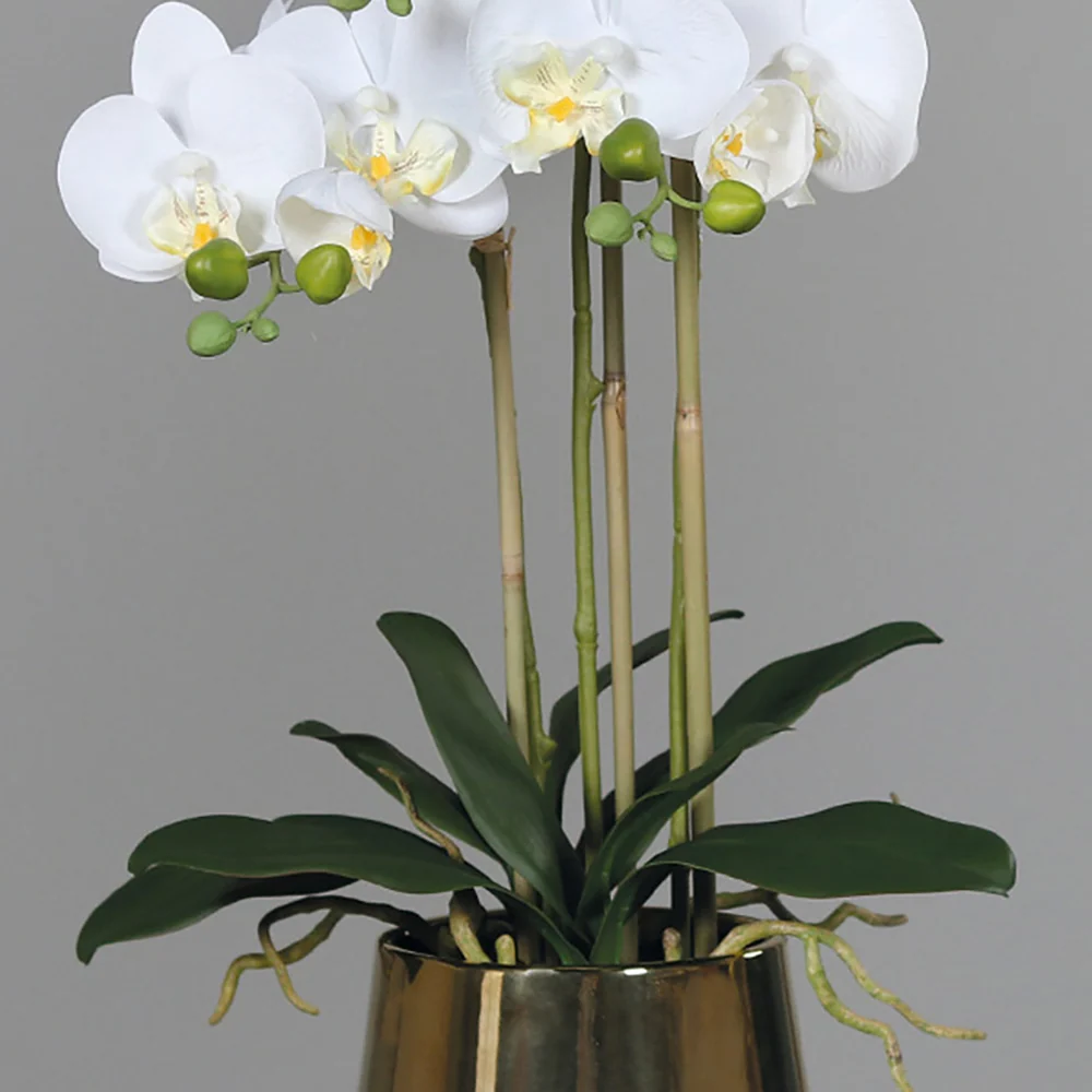 ORCHID fehér mű orchidea 64 cm