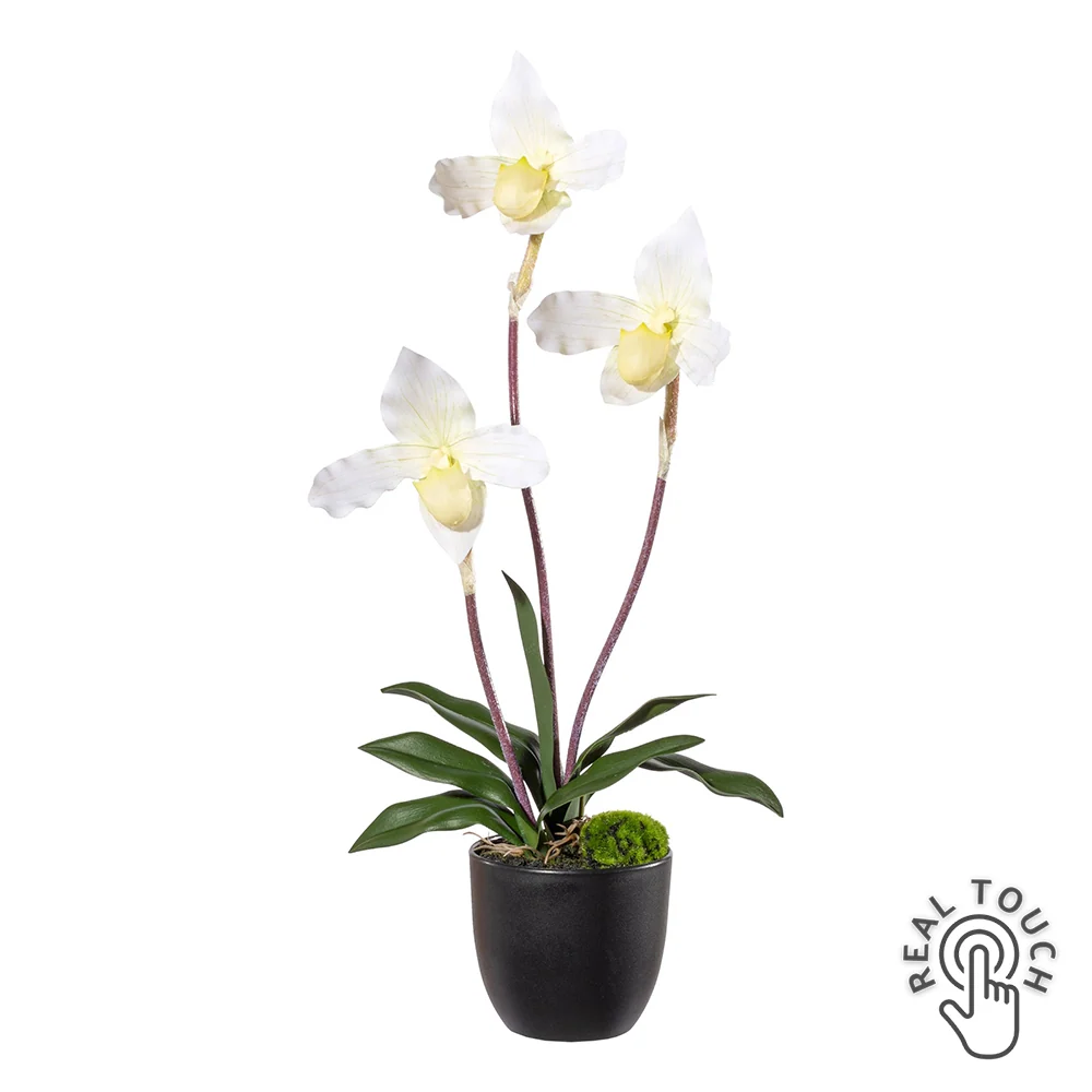 ORCHID fehér mű papucsorchidea 45 cm