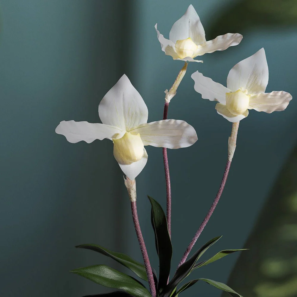 ORCHID fehér mű papucsorchidea 45 cm