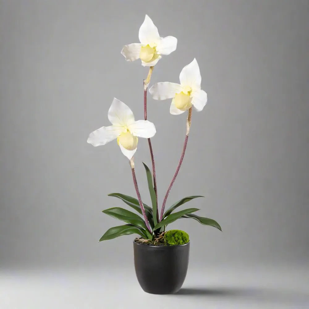 ORCHID fehér mű papucsorchidea 45 cm