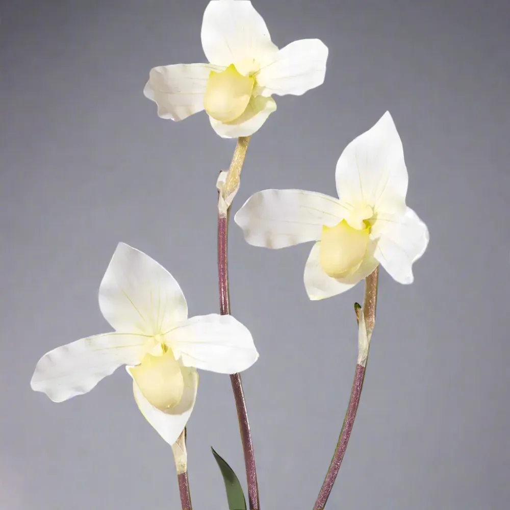 ORCHID fehér mű papucsorchidea 45 cm
