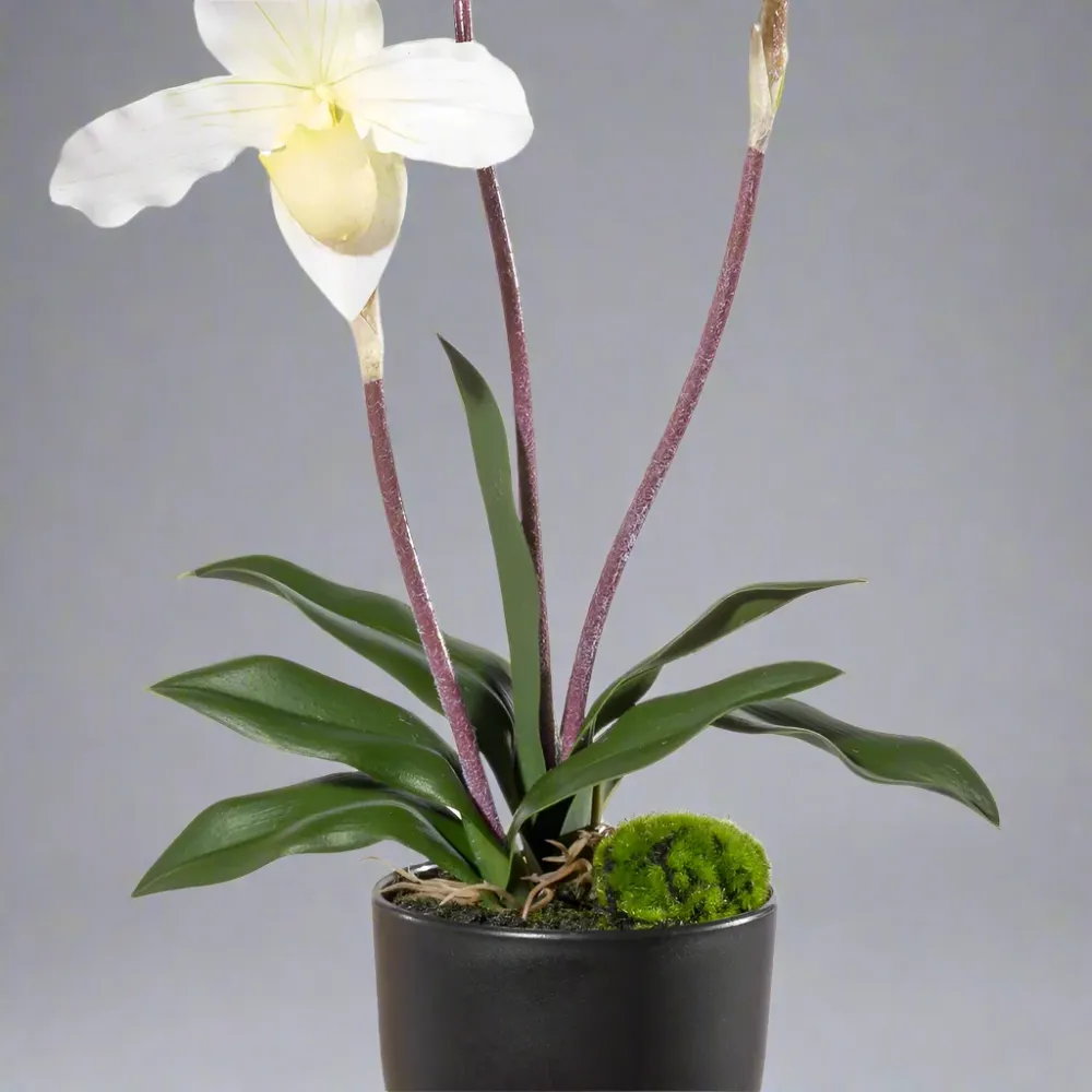 ORCHID fehér mű papucsorchidea 45 cm