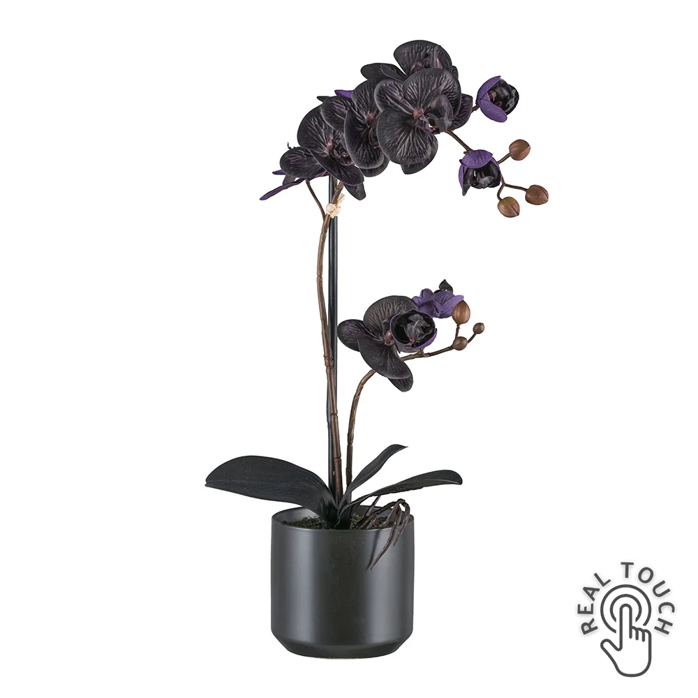 ORCHID fekete mű orchidea 50 cm