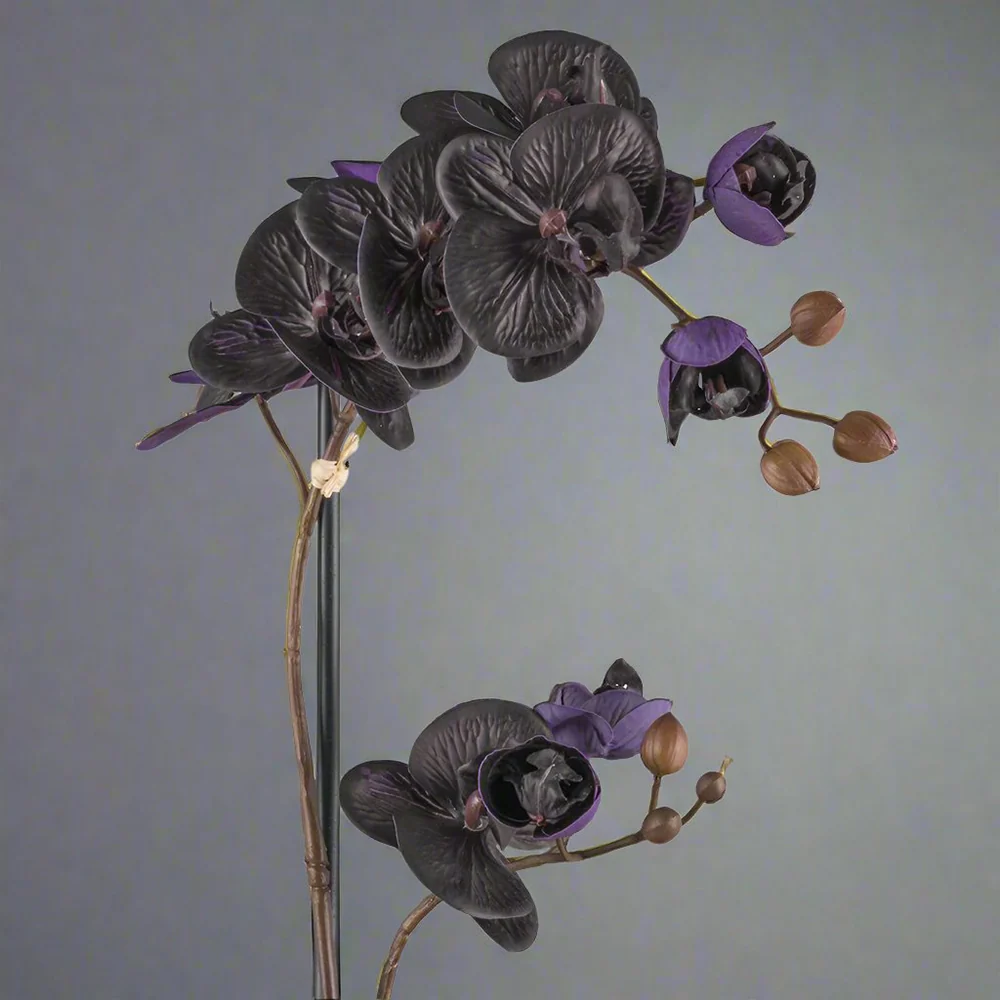 ORCHID fekete mű orchidea 50 cm