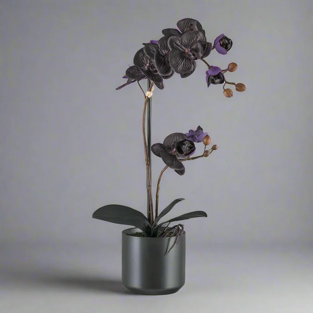 ORCHID fekete mű orchidea 50 cm