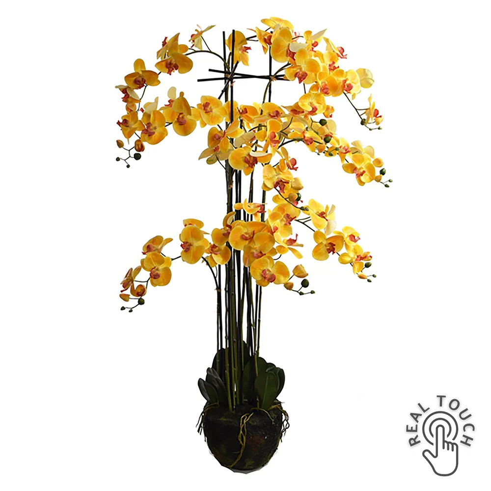 ORCHID földlabdás sárga mű orchidea 150 cm