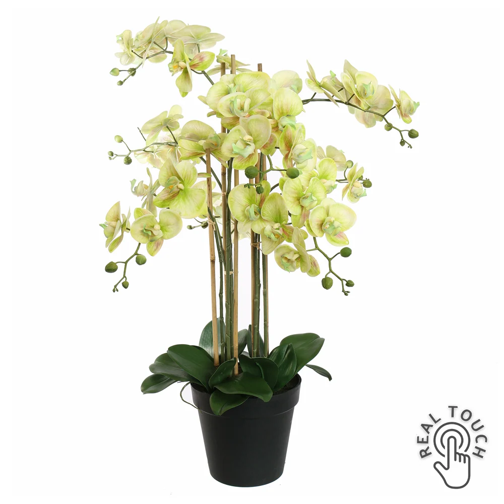 ORCHID zöld cserepes mű orchidea 90 cm