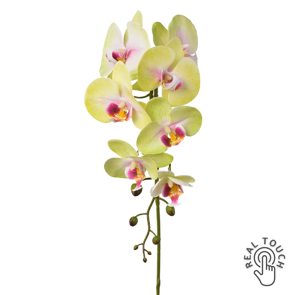 ORCHID zöld-pink szálas mű orchidea 86 cm