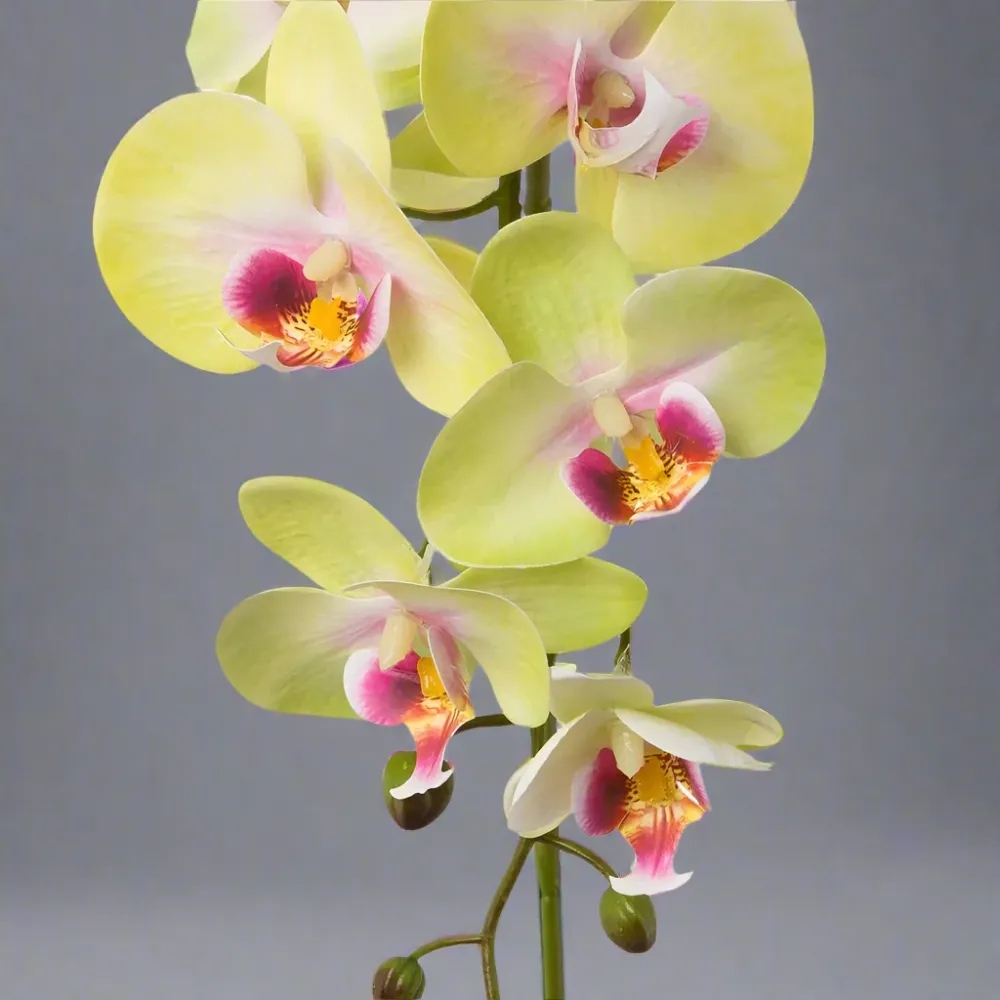 ORCHID zöld-pink szálas mű orchidea 86 cm