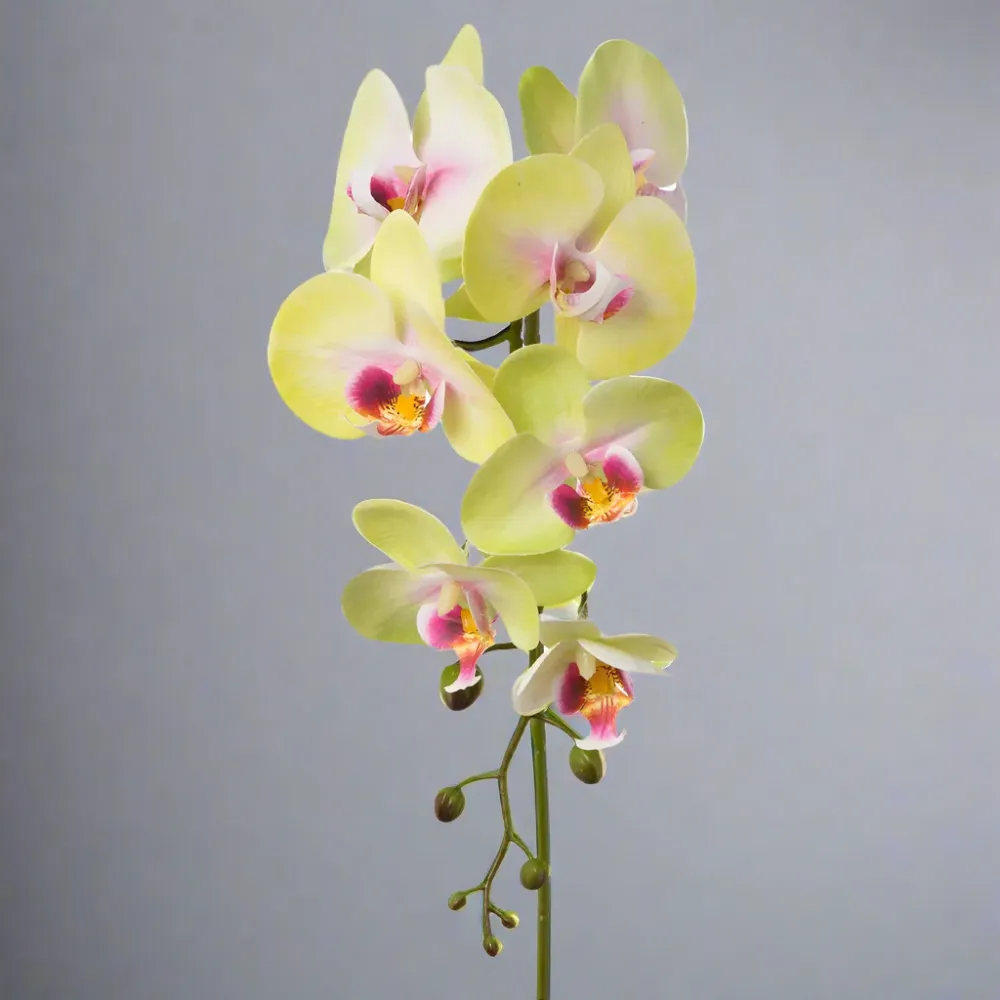 ORCHID zöld-pink szálas mű orchidea 86 cm