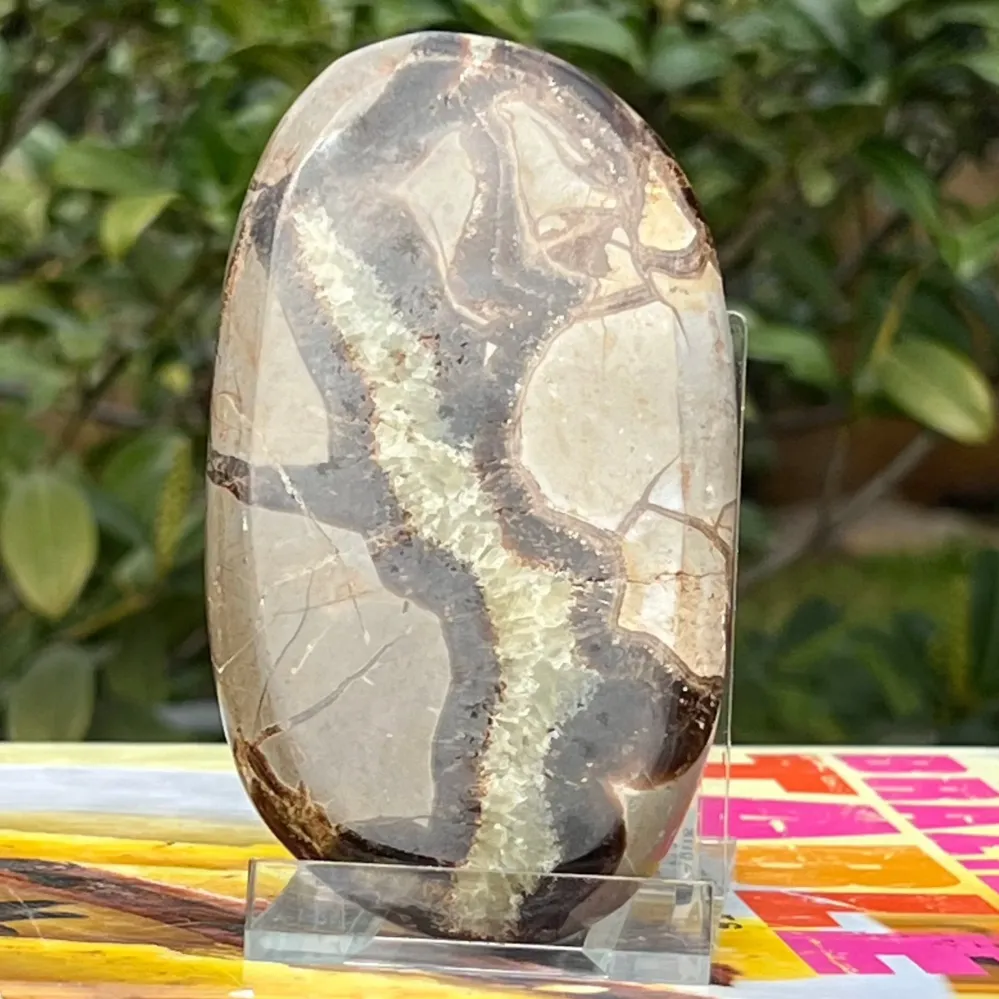 Slice septaria m10