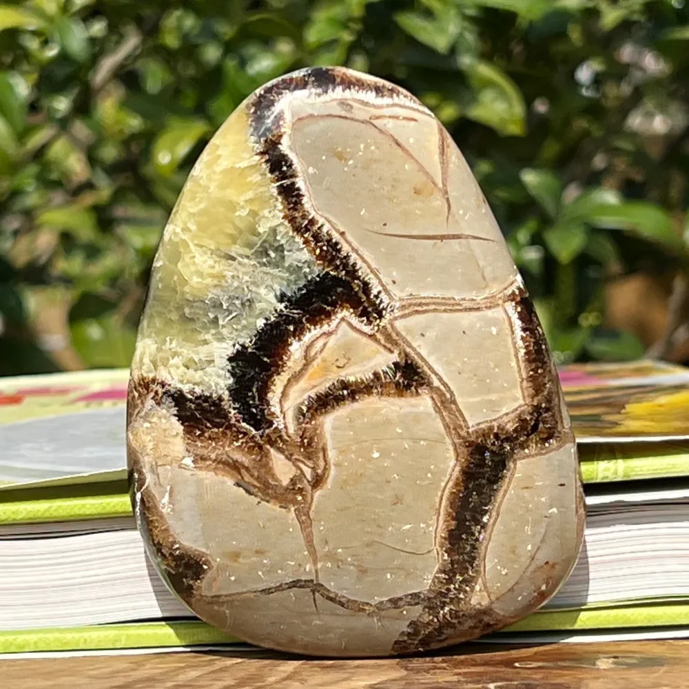 Szelet septaria m7