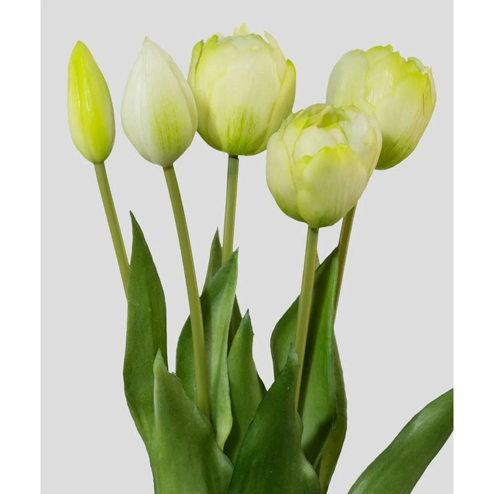 TULIP 5 szálas fehér mű tulipáncsokor 39 cm
