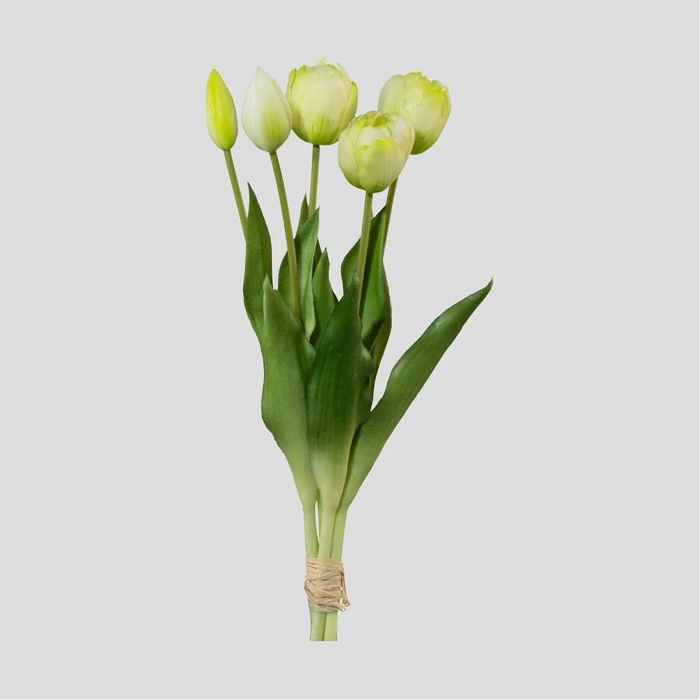 TULIP 5 szálas fehér mű tulipáncsokor 39 cm