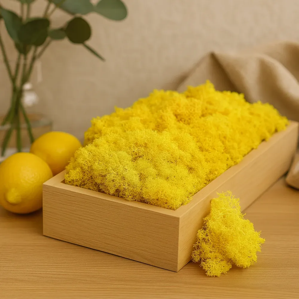 Megőrzött rénszarvasmoha sárga 500g