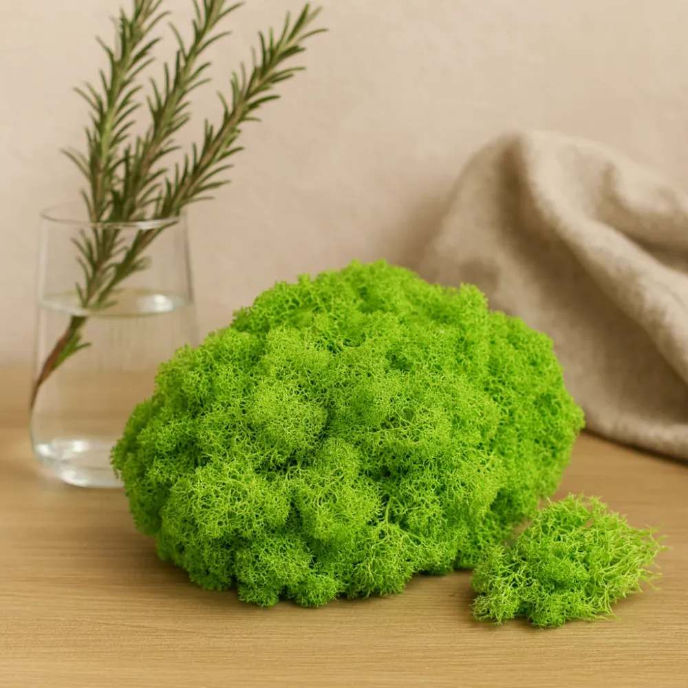 Megőrzött világoszöld rénszarvasmoha 500g