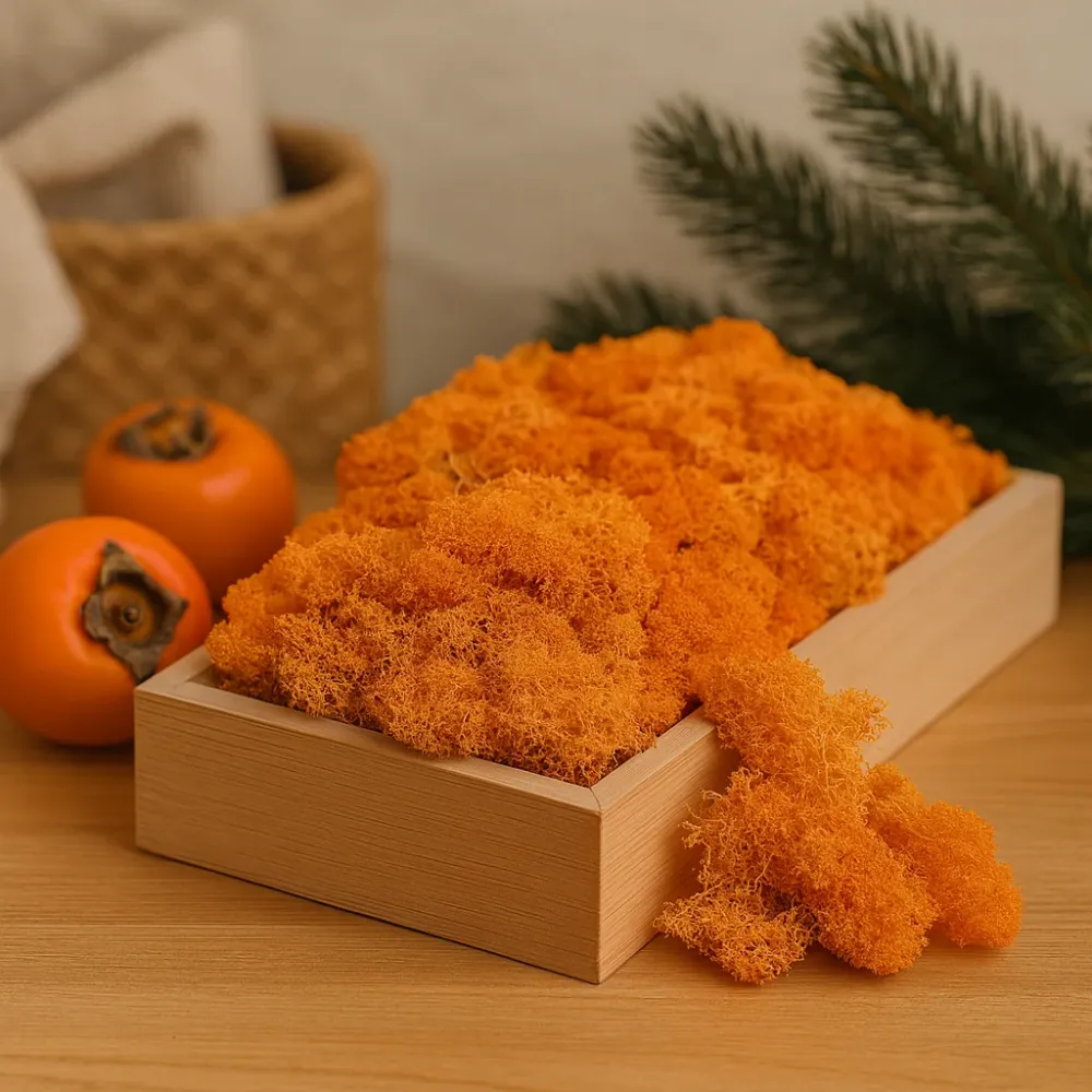Tartósított rénszarvasmoha narancs 500g