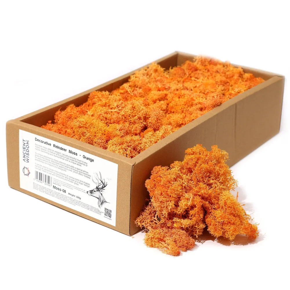Tartósított rénszarvasmoha narancs 500g