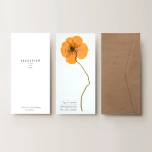 Herbarium Izlandi mák üdvözlőlap - fehér