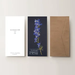 Herbarium kerti szarkaláb üdvözlőlap - kék