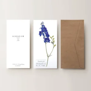 Herbarium kerti szarkaláb üdvözlőlap - fehér