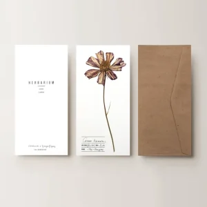Herbarium Pillangóvirág üdvözlőlap - fehér