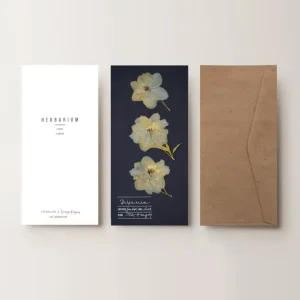 Herbarium sarkantyúfű üdvözlőlap - kék