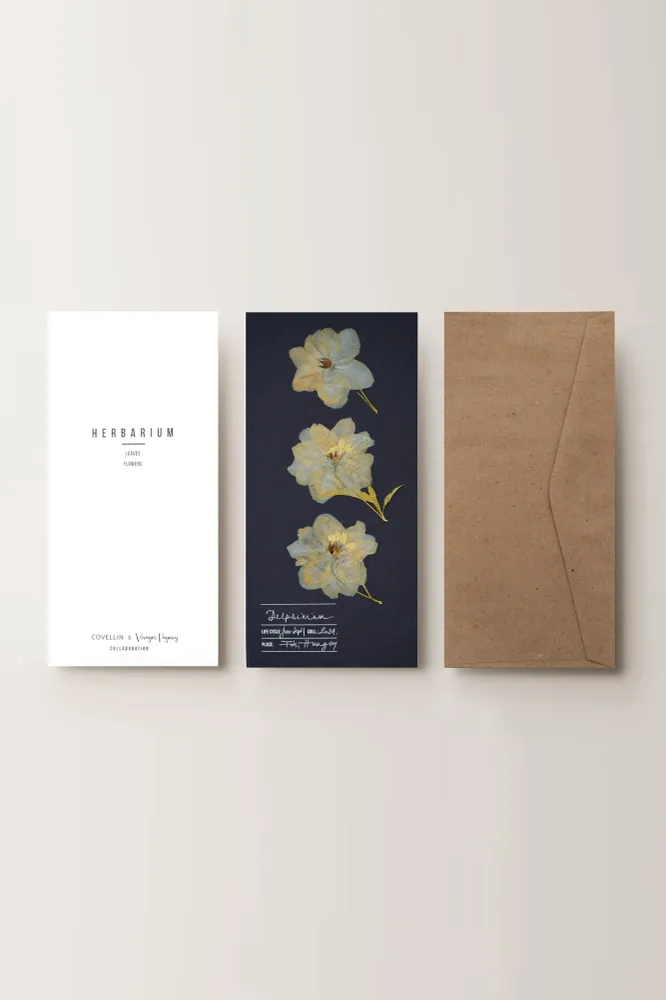 Herbarium sarkantyúfű üdvözlőlap - kék
