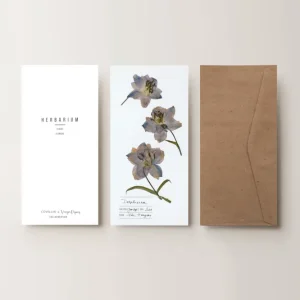 Herbarium sarkantyúfű üdvözlőlap - fehér