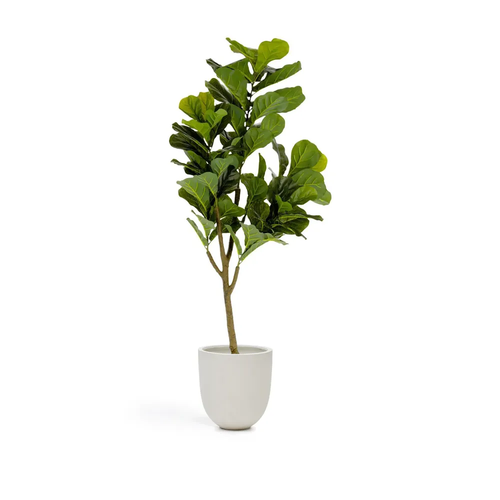 Fikusz műnövény 150 cm