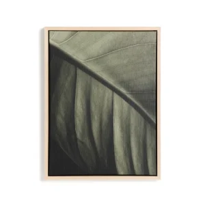 Foliae levélfotó kép 32.5 x 42.5cm