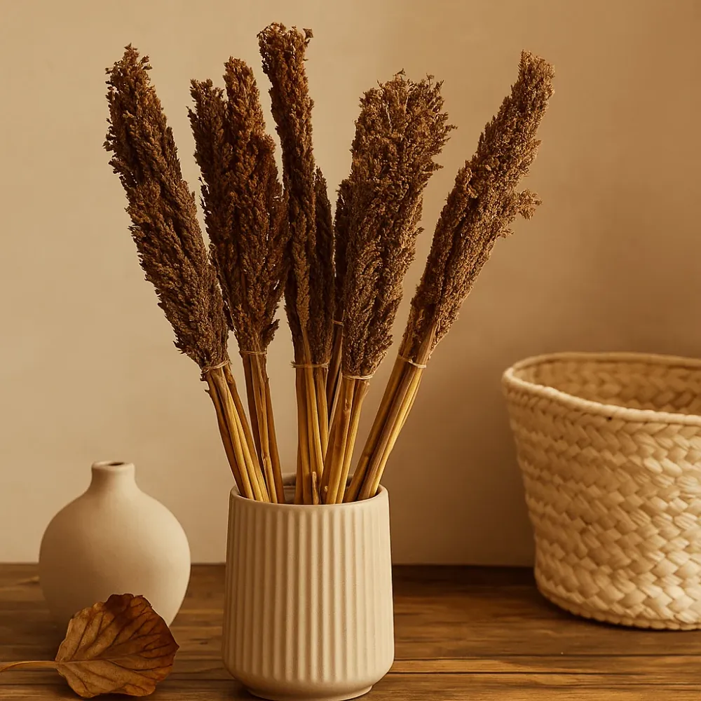 Cantal Grass csokor Csokoládé – 6 darabos készlet