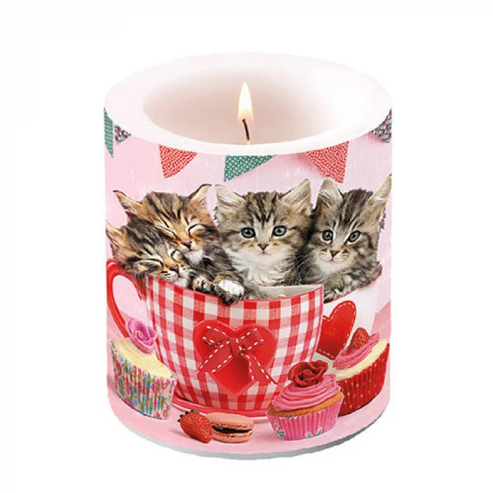 Cicás átvilágítós viasz gyertya Cats Tea Cups közepes