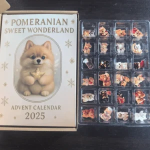 Pomerániai Édes Csodaország Adventi Naptár 2025