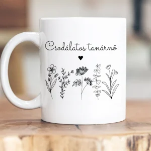 Csodálatos tanárnő bögre